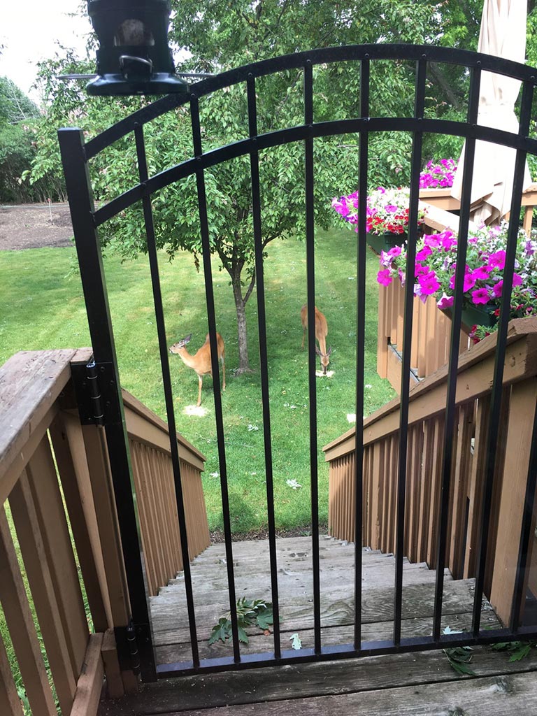 LuAnn's Place photo 12