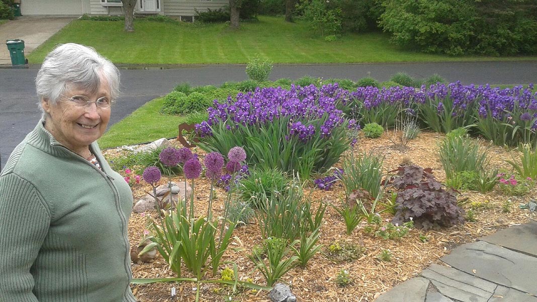 Flowering garden in spring
